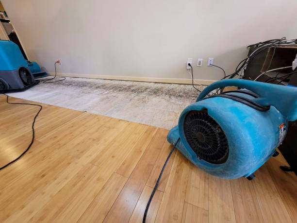 Professional Sewage Cleanup technician working in Filer City, MI